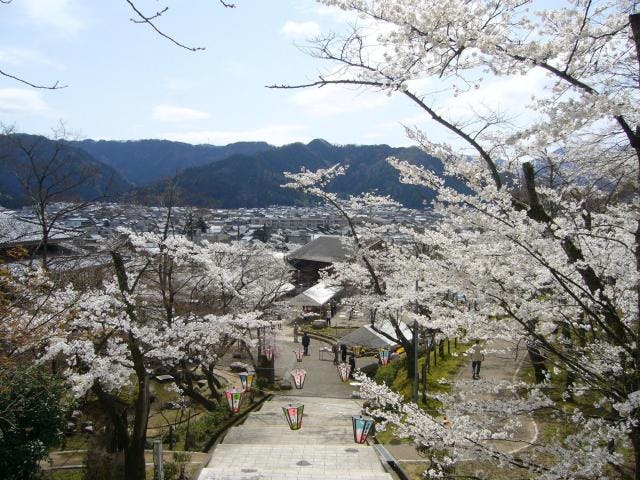 はながたみまつり