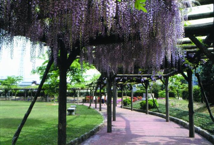 【中止】式部とふじまつり