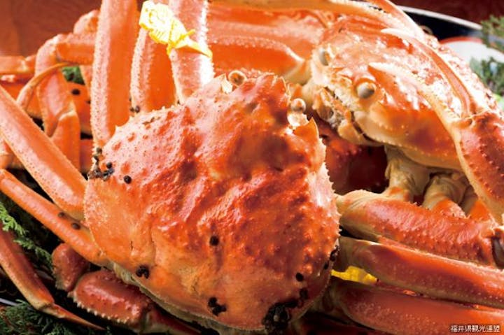 【2021年開催中止】三国湊カニまつり