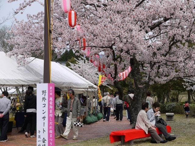 【2021年中止】第10回越前陶芸村しだれ桜まつり