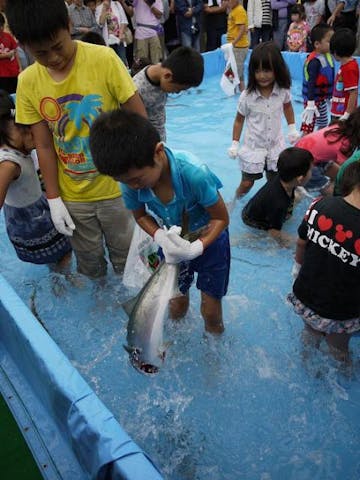 【2021年開催中止】越前さかなまつり