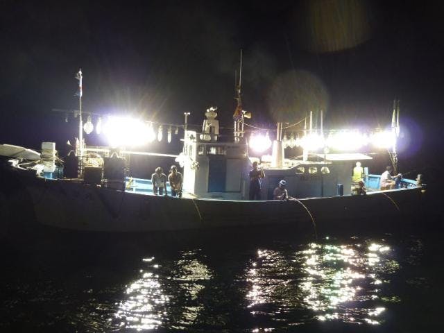 イカ釣り体験