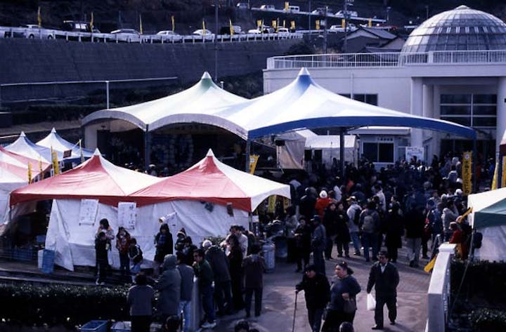 【2021年中止】越前海岸水仙まつり「こしの水仙まつり」