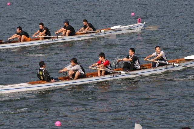 スポットの写真