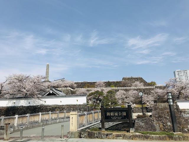 舞鶴城公園の桜 アソビュー