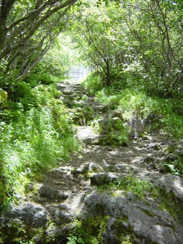 吉田口登山道