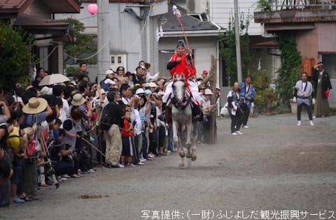 ふじざくら祭り アソビュー