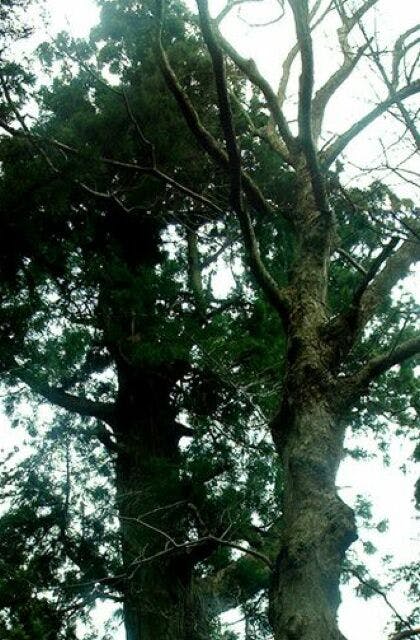 スポットの写真