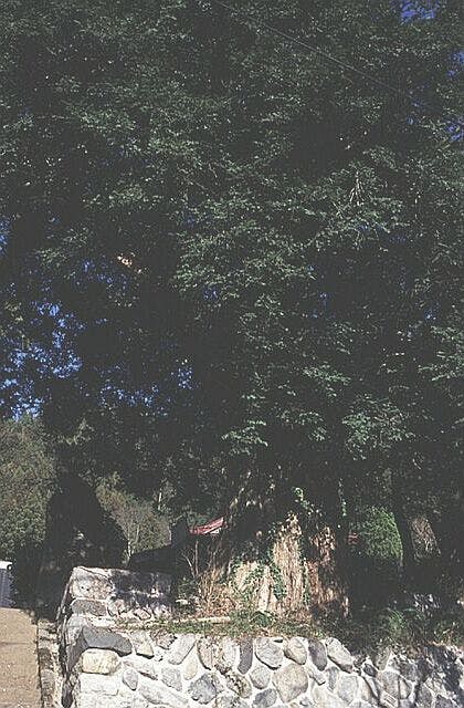 スポットの写真