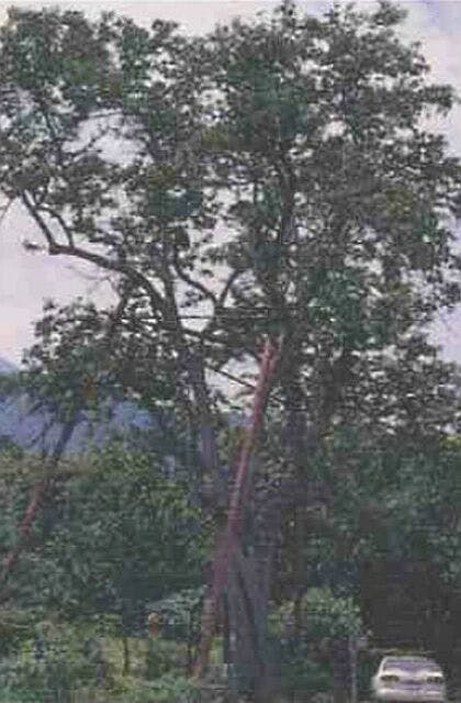 スポットの写真