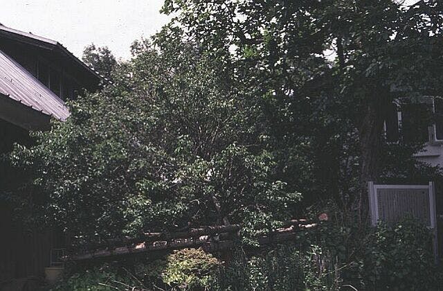 スポットの写真