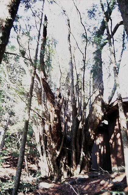 スポットの写真