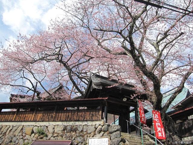 スポットの写真