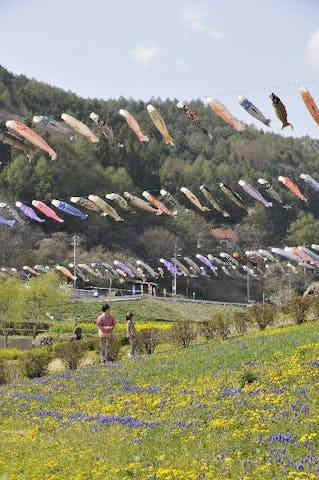 長沢鯉のぼり祭り