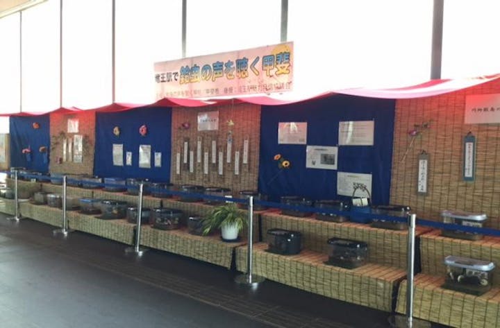 竜王駅で鈴虫の声を聴く甲斐