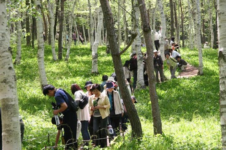 【中止】すずらんの里祭り
