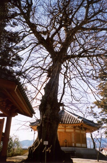 スポットの写真