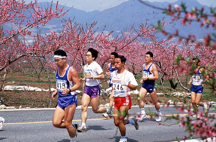 笛吹市桃の里マラソン大会