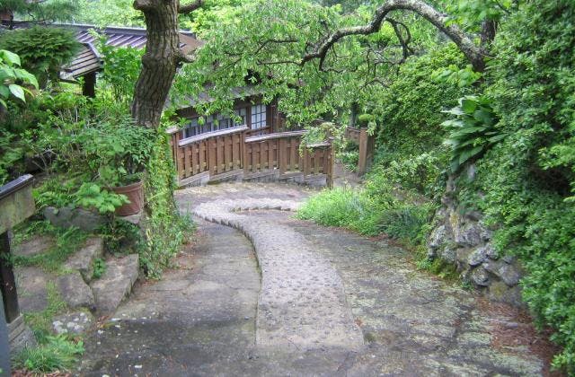 スポットの写真