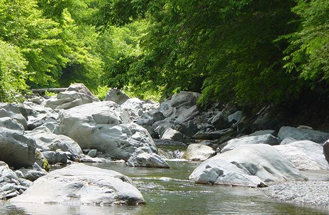 スポットの写真