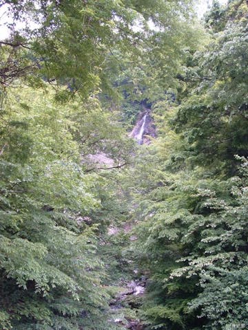 糸瀬の滝(女滝)