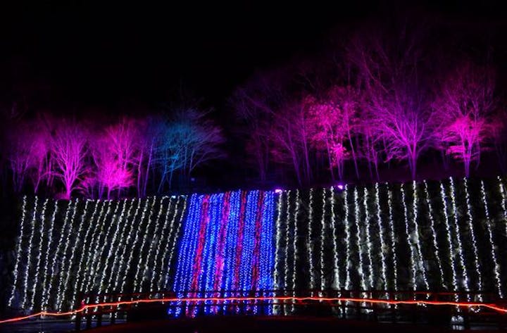 山中湖アートイルミネーション「FANTASEUM」