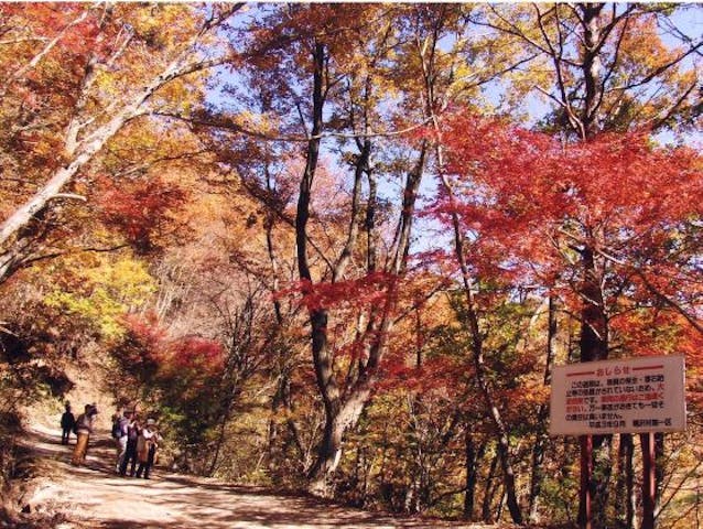 東海自然歩道紅葉台コース