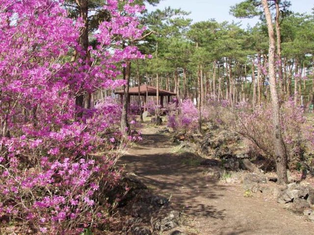 なるさわ富士山博物館自然探索路