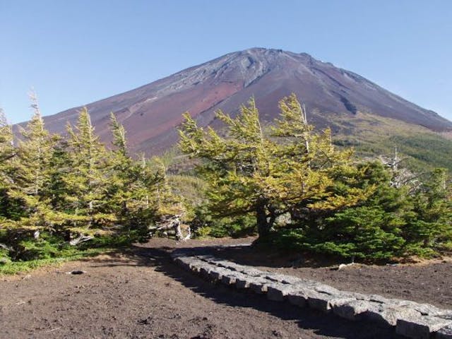 御庭・奥庭自然探索路