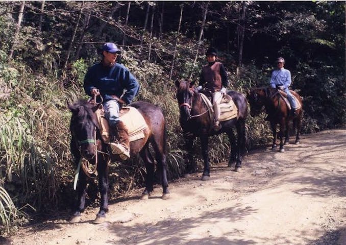 紅葉台木曽馬牧場