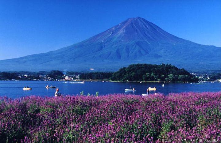 河口湖ハーブフェスティバル