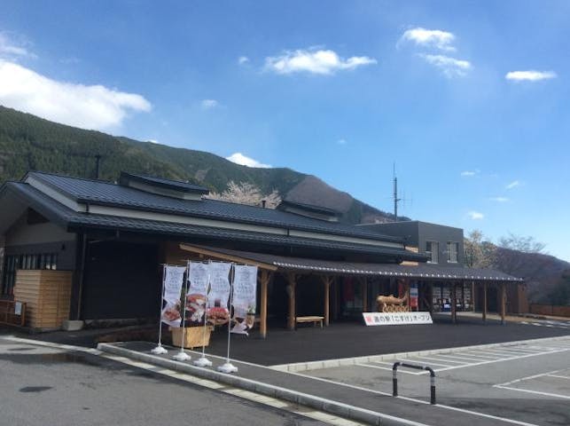 道の駅　こすげ