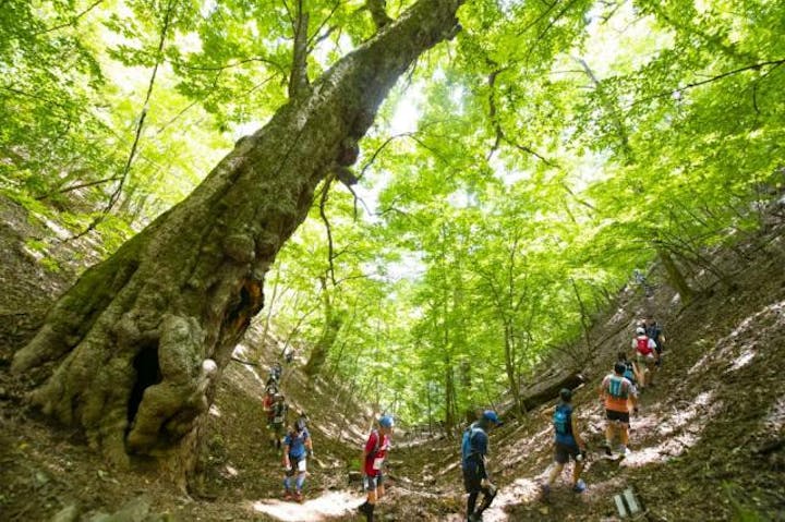 多摩川源流トレイルラン