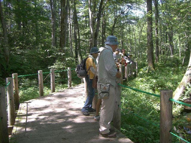 戸隠森林植物園自然観察会