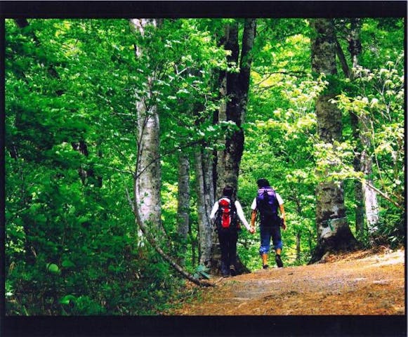 奥裾花自然園内ハイキングコース