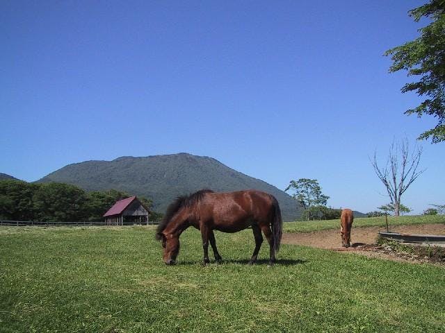 戸隠牧場・自然観察動物園
