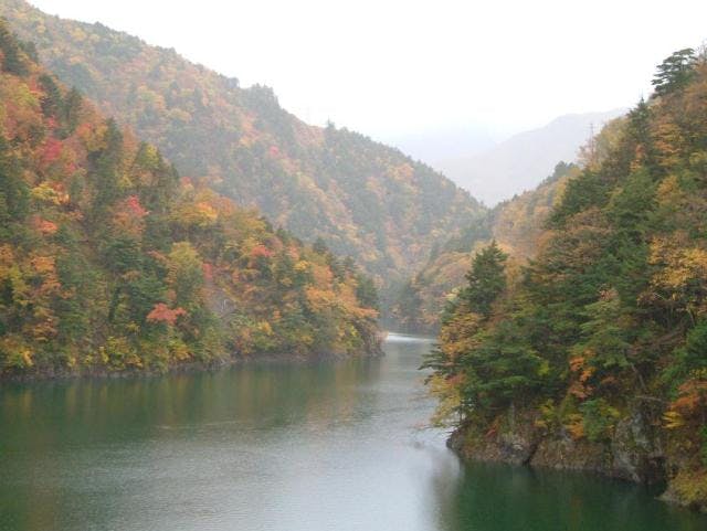 スポットの写真