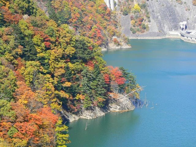 奈川渡ダムの紅葉
