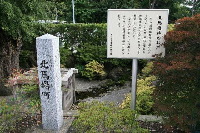 スポットの写真