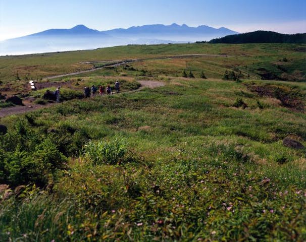美ヶ原高原遊歩道