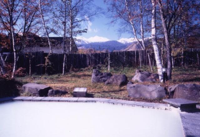 スポットの写真