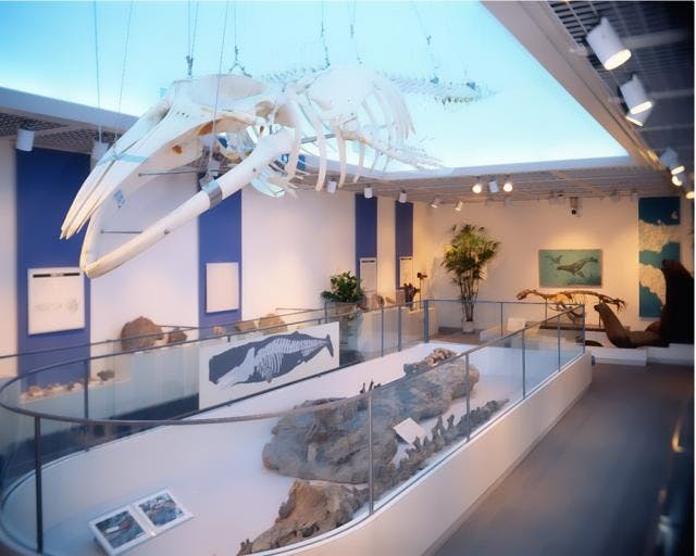 スポットの写真