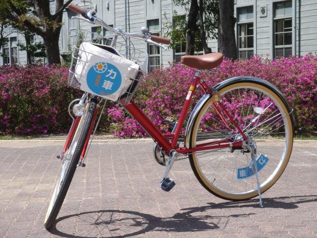 スポットの写真
