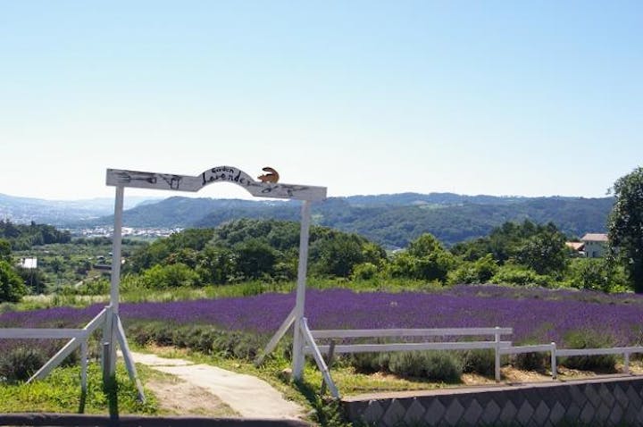 信州国際音楽村(ラベンダー畑付近)
