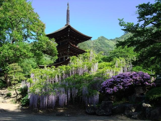 スポットの写真