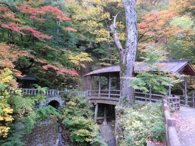 鹿教湯温泉の紅葉