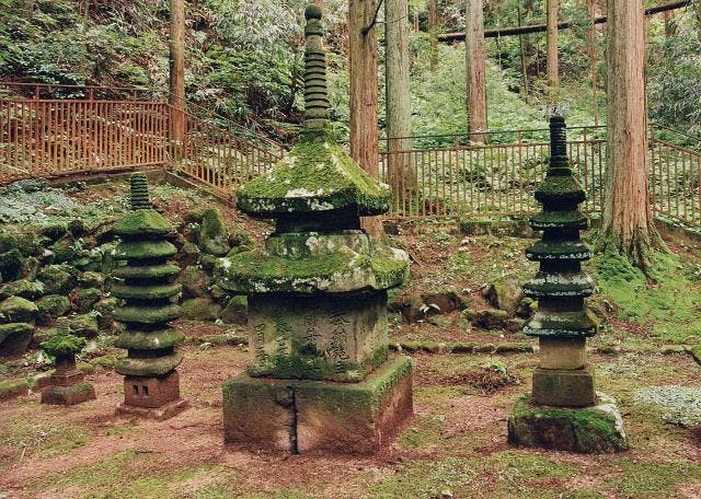 スポットの写真