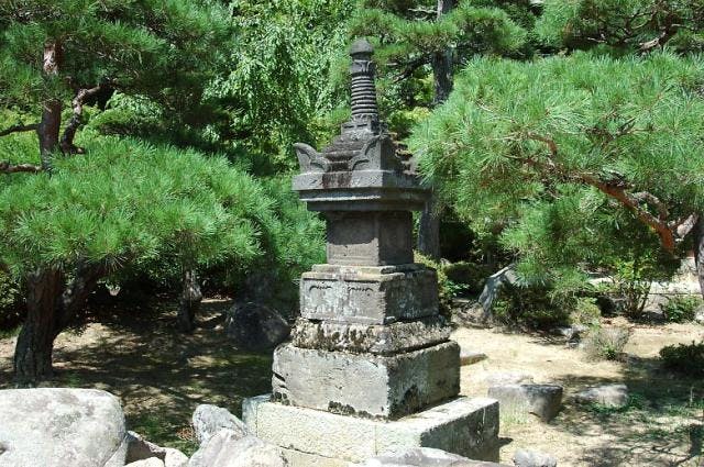 スポットの写真