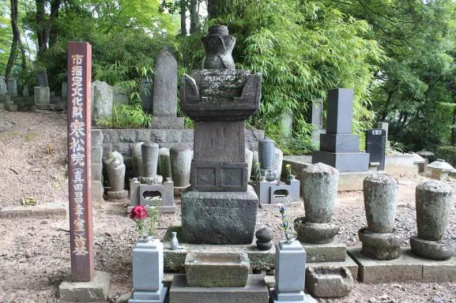 スポットの写真
