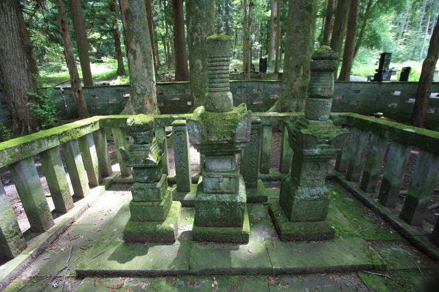 スポットの写真